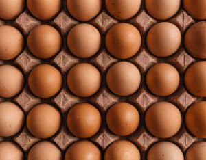 Are Eggs Dairy Products